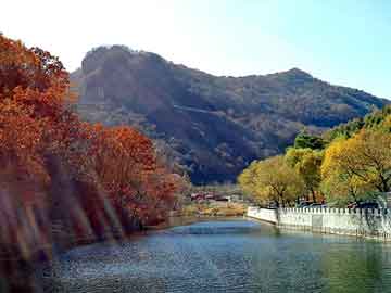 新澳天天开奖资料大全旅游团，强尼戴普